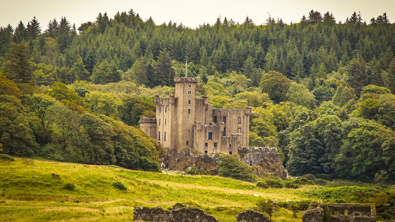 an old castle in the middle of a forest